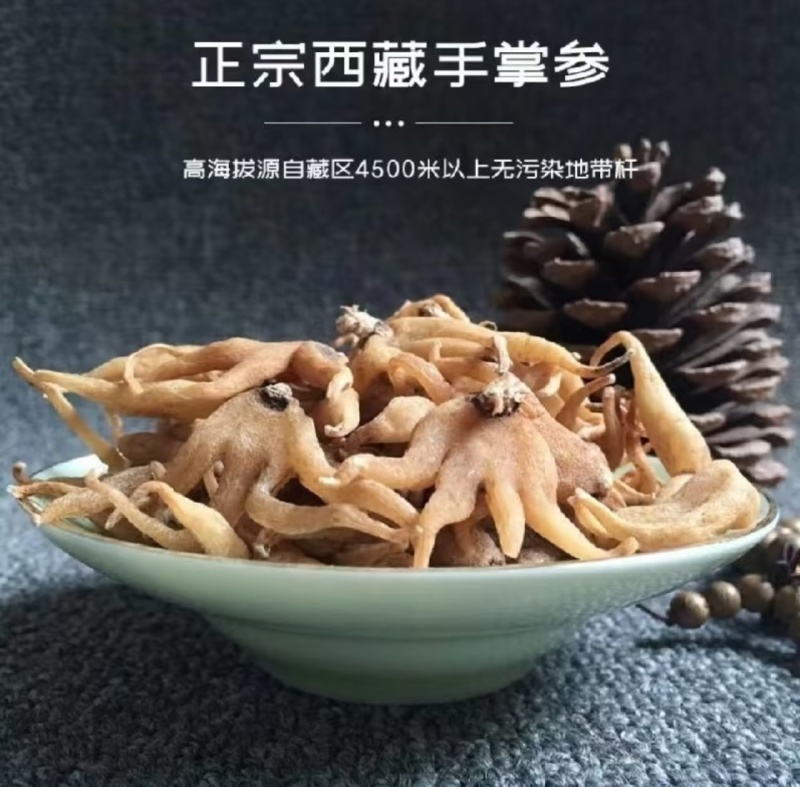 手掌参大货批发自然晾晒，无硫***足干，可零售可批发量优