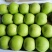 酥脆一号梨青苹果梨苏翠一号承接商超电商代发全国