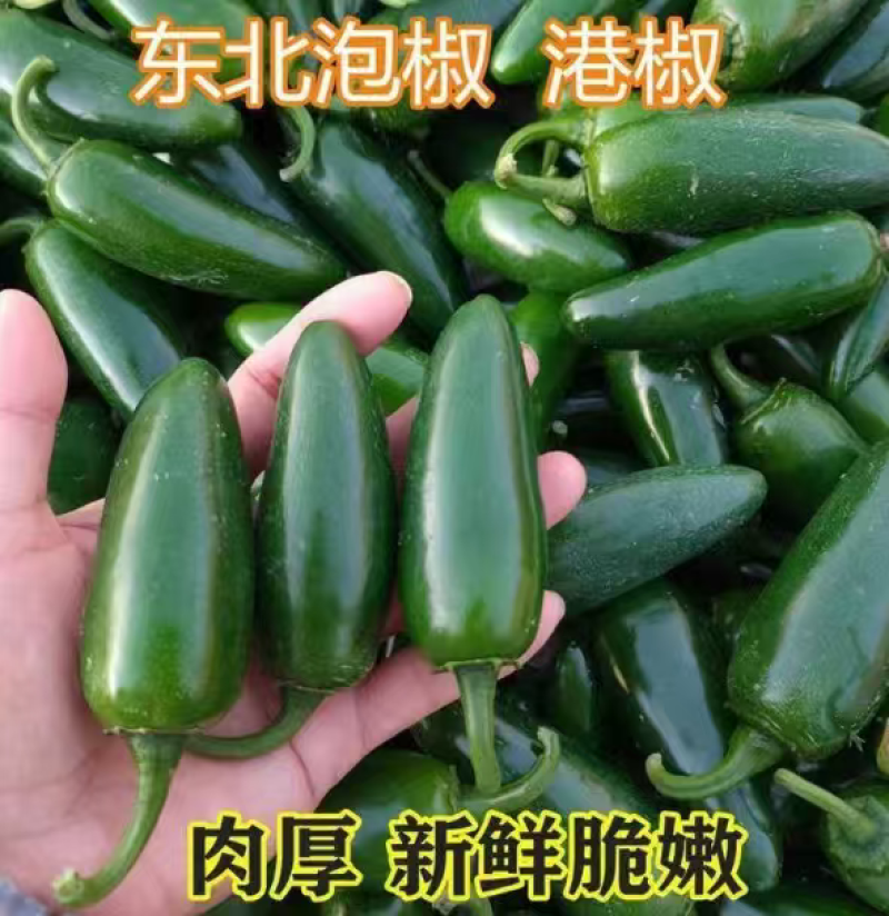 工厂直销酱油港椒批发量大价优