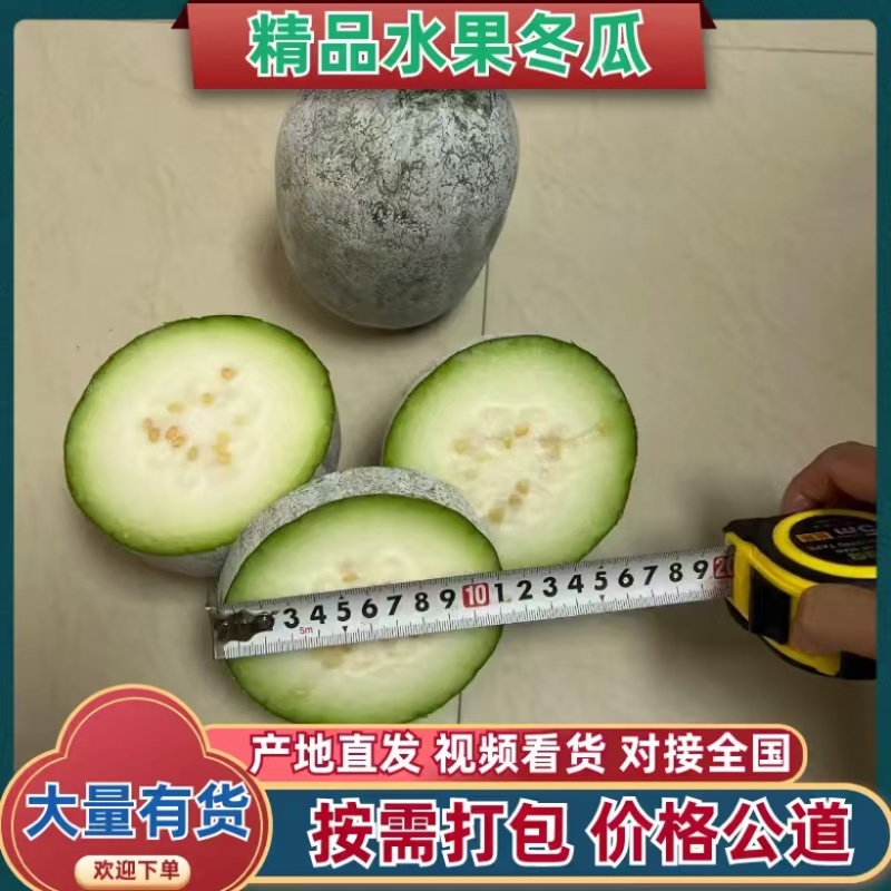 河南水果冬瓜，上午采摘，下午装车，价格优惠