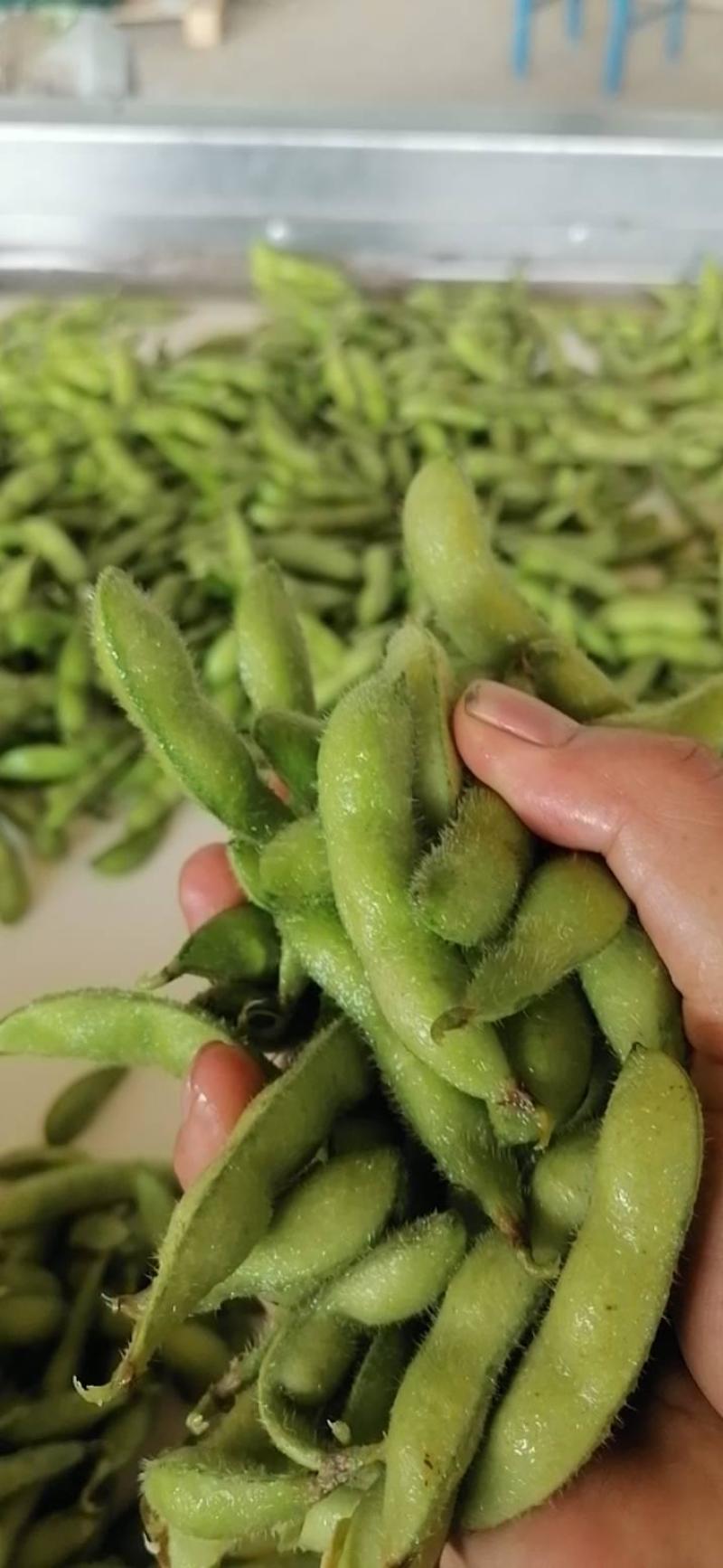 毛豆