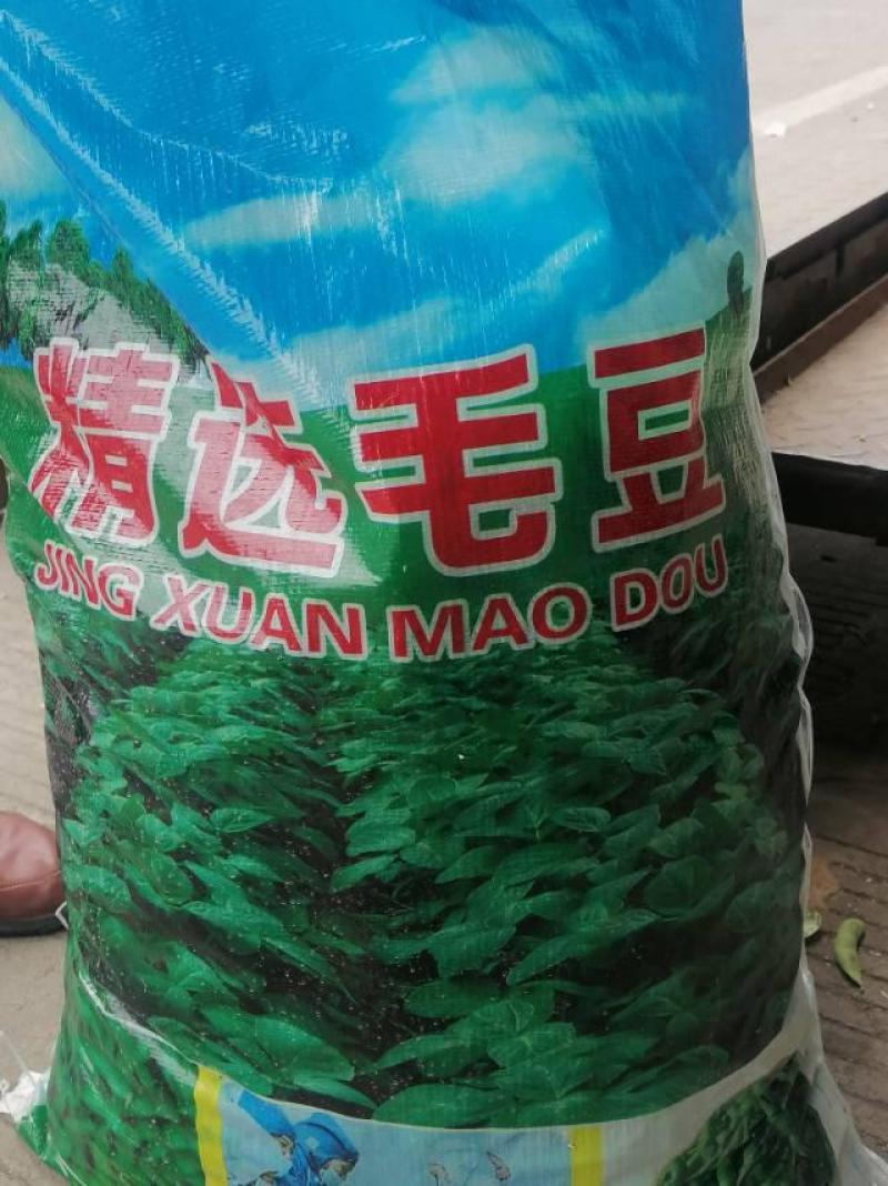 毛豆