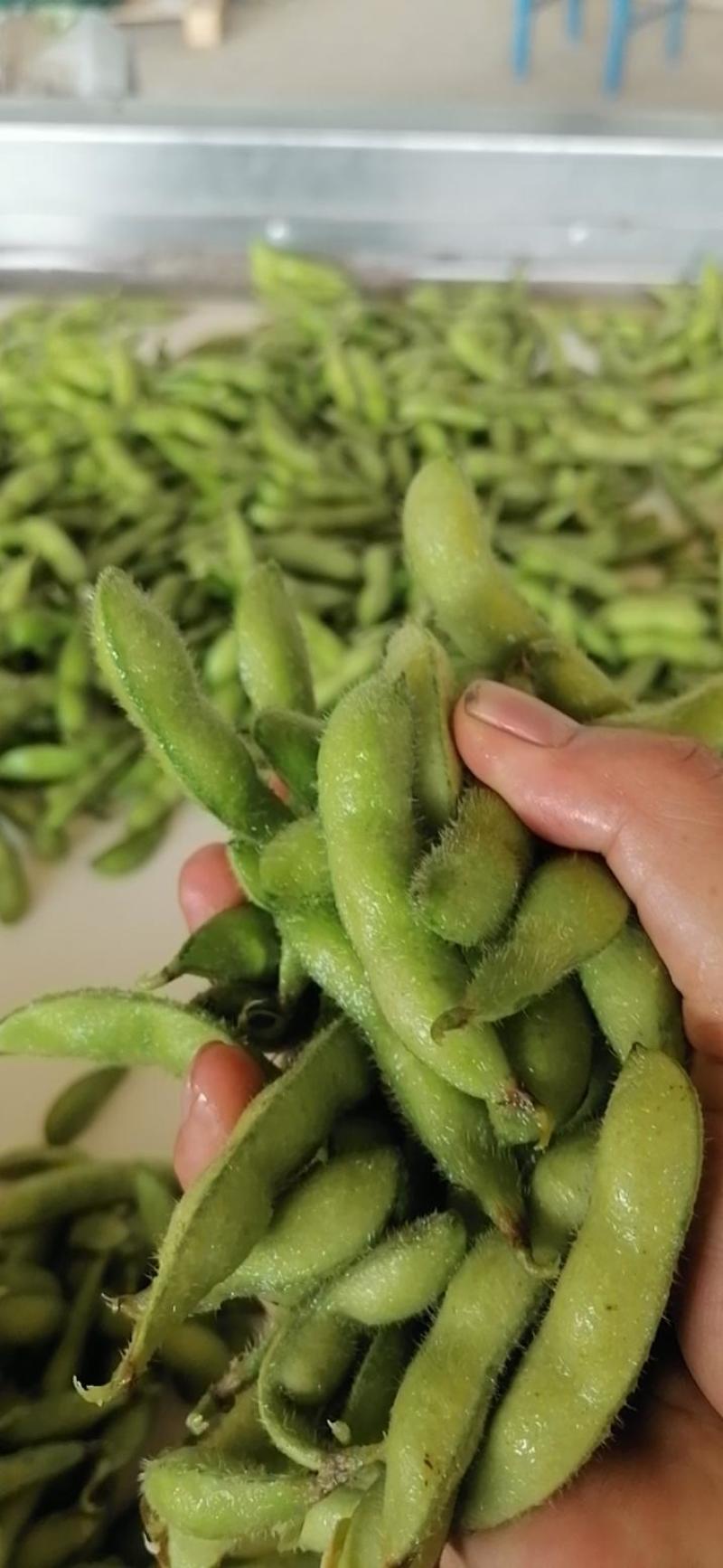 毛豆