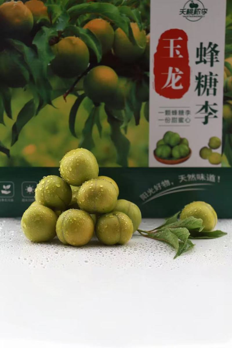 贵州蜂糖李