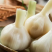 工厂直销腌泡菜糖醋蒜好吃爽口供应一二级批发市场