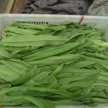 油麦菜