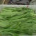 油麦菜