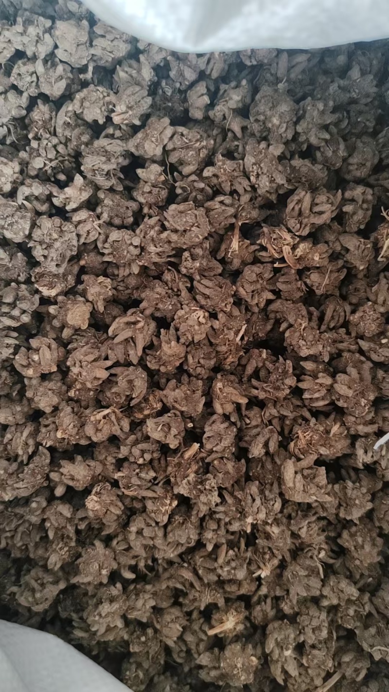 批发家种猫爪草中粒货，一手货源，诚信经营，感谢您的信任。