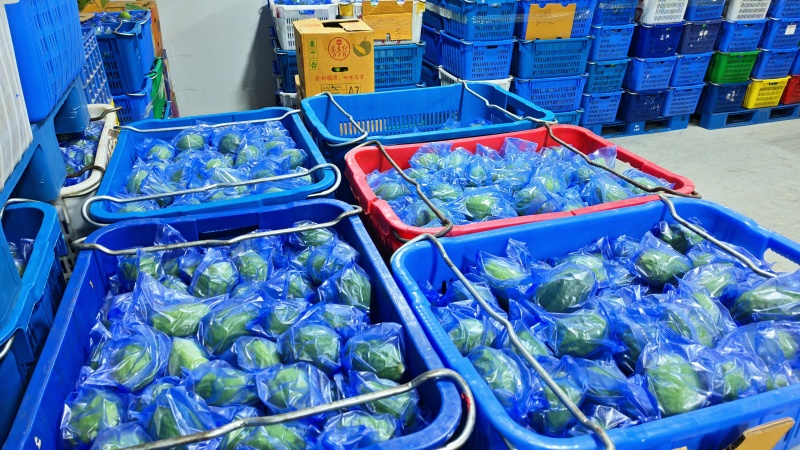 广东正宗香水柠檬一二三级果。欢迎来厂观察洽谈。