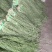 贡菜三级