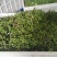 2026新季青花椒·干花椒开售