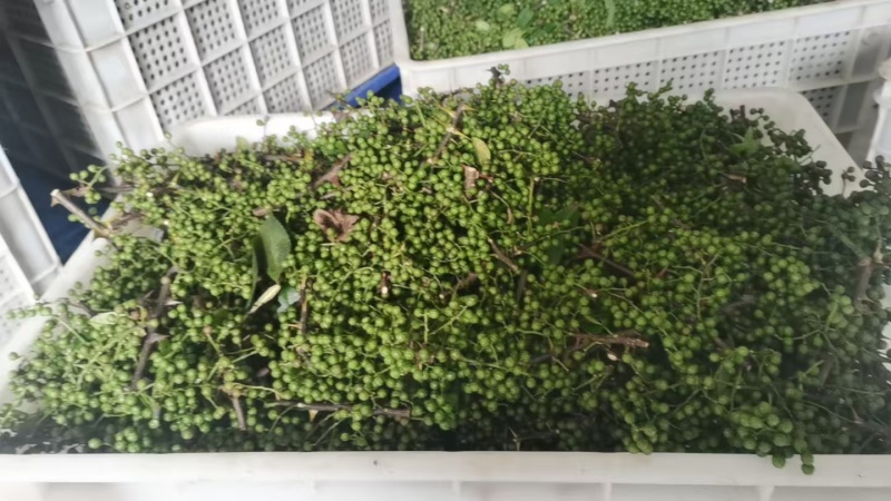 2026新季青花椒·干花椒开售