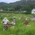 2026新季青花椒·干花椒开售