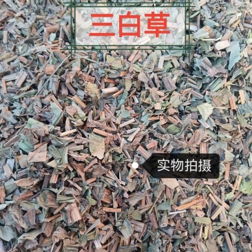 三白草正品三白草中药材干净无硫冷背中药材