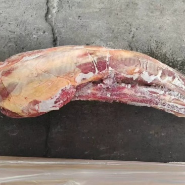 精品牛尾