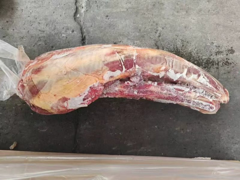 精品牛尾