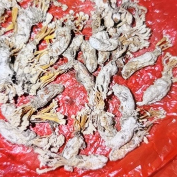 婵花