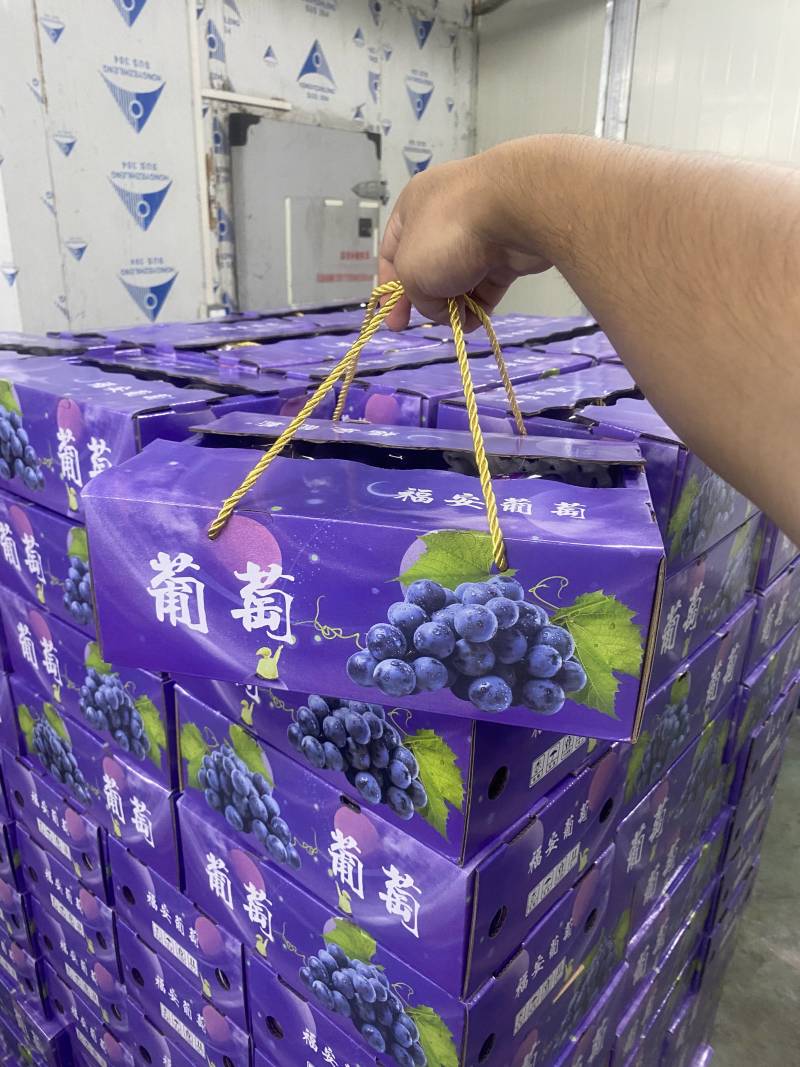 福安巨峰葡萄主产区国家一村一品地理标志