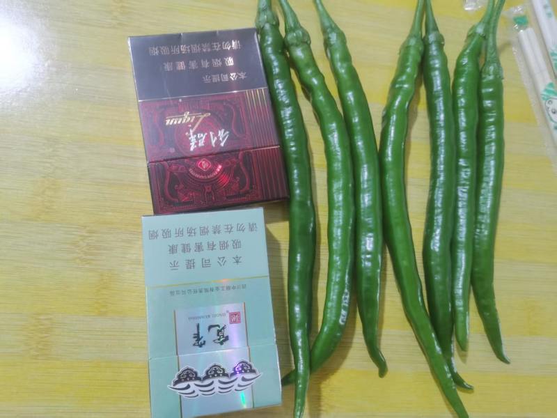 线椒大量上市，欢迎各界老板来产地，产地直值，一手货源！