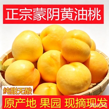 山东蒙阴脆甜黄油桃新鲜水果现摘现发整车代发