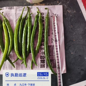 3号线椒