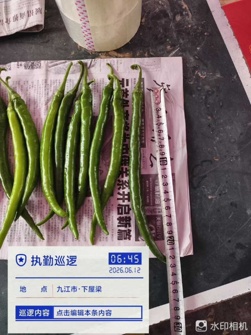 3号线椒
