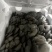 鲜灵灵平菇，基地现采现发。中大叶，头茬，二茬均可有供应，