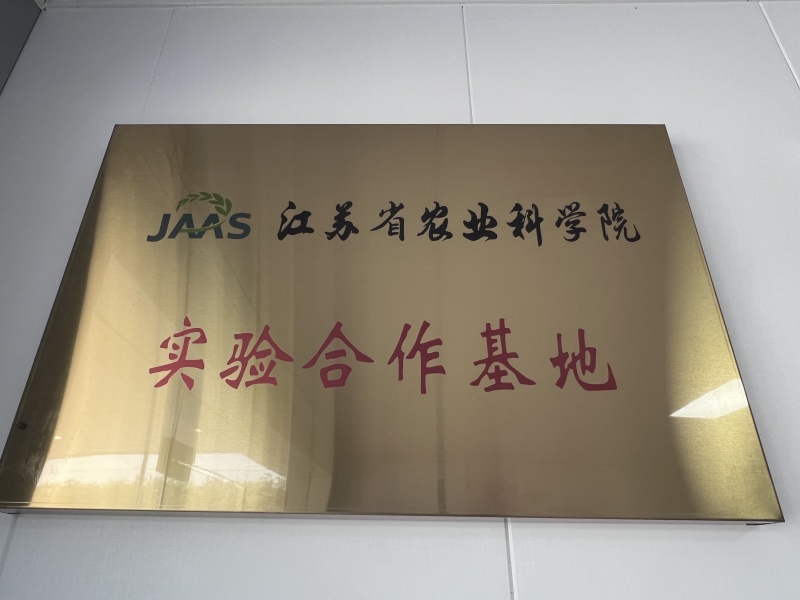 鲜灵灵平菇，基地现采现发。中大叶，头茬，二茬均可有供应，