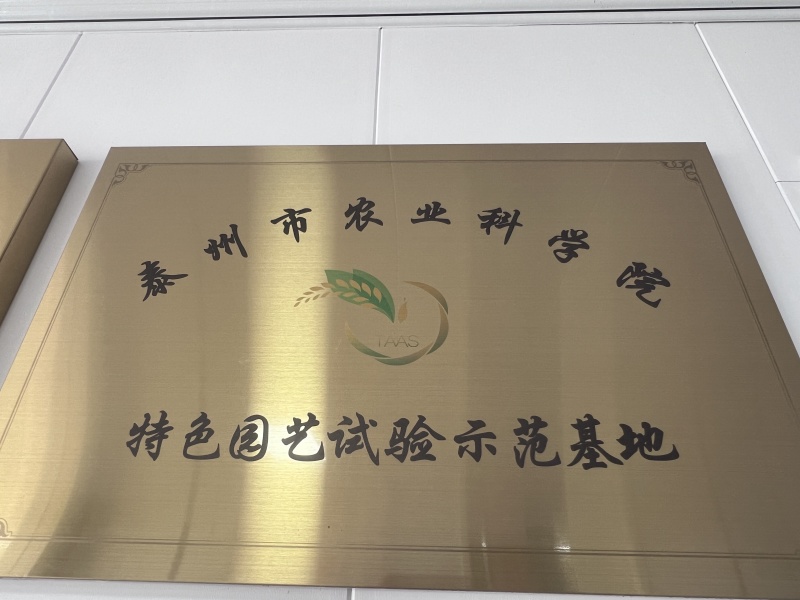 鲜灵灵平菇，基地现采现发。中大叶，头茬，二茬均可有供应，