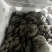 鲜灵灵平菇，基地现采现发。中大叶，头茬，二茬均可有供应，
