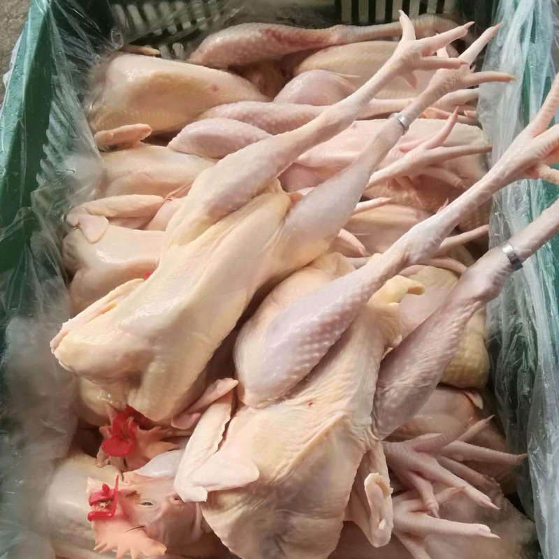 新鲜清远麻鸡140-180天清远走地鸡