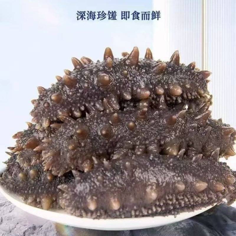 辽参