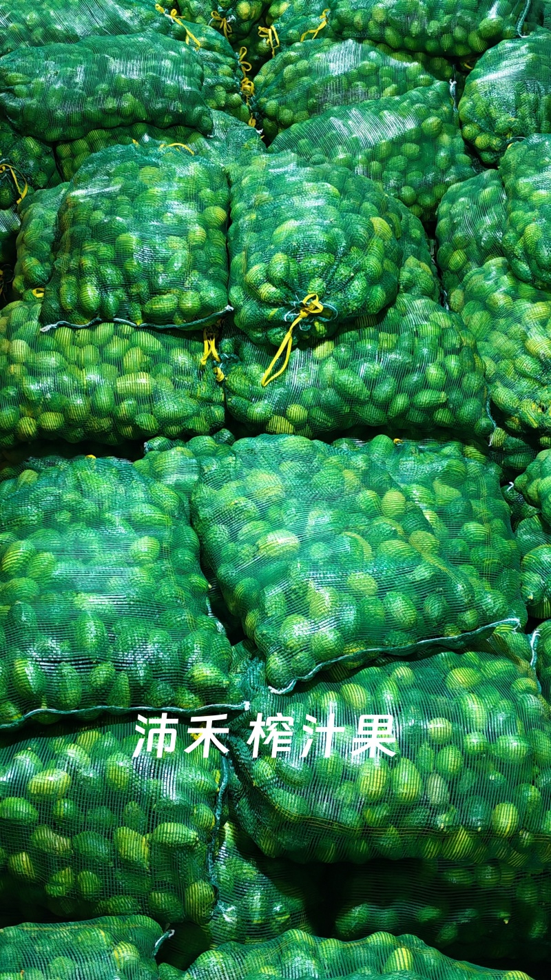 榨汁果，量大管饱，欢迎来电或到厂洽谈合作共赢。