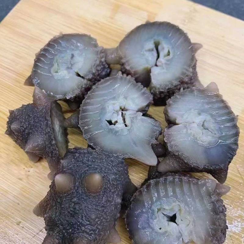 大连辽参即食5-15个头**高品质批发价