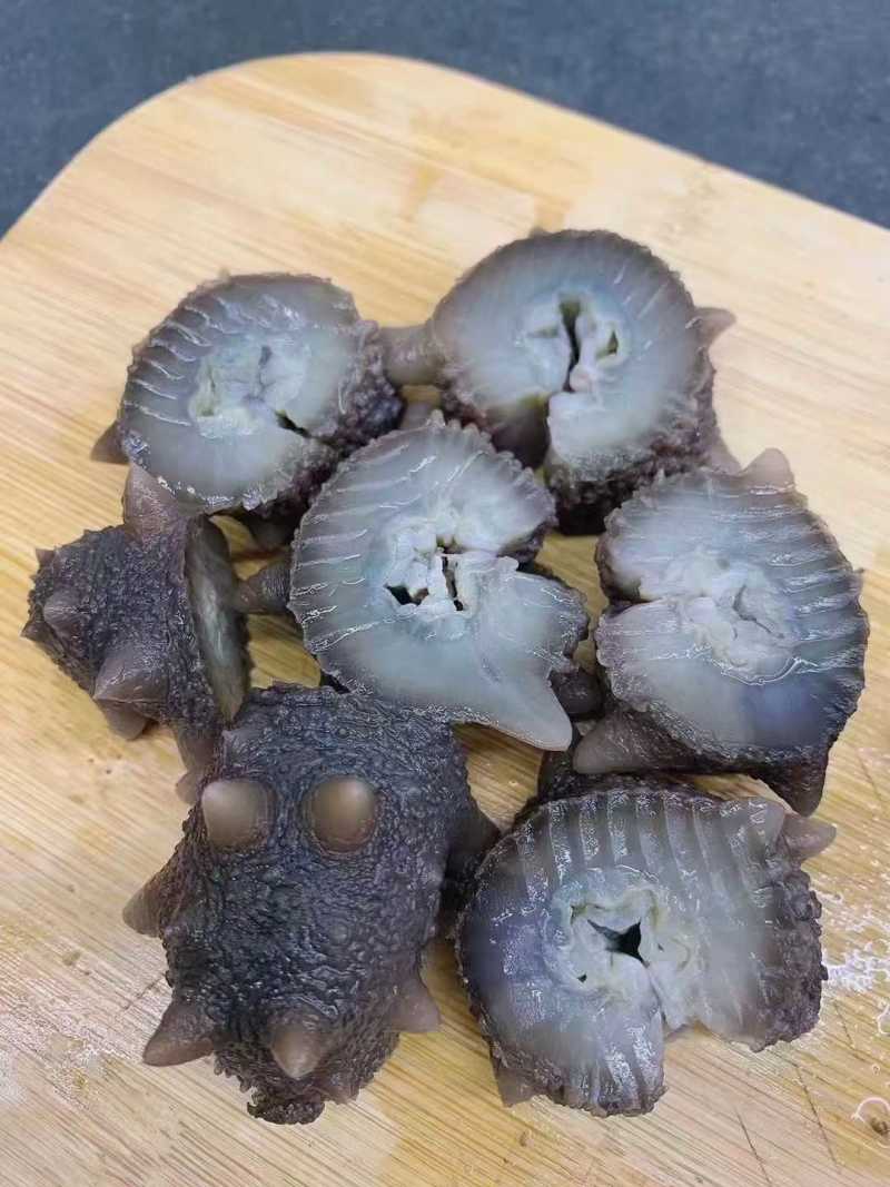 大连辽参即食5-15个头**高品质批发价