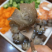 大连辽参即食5-15个头**高品质批发价