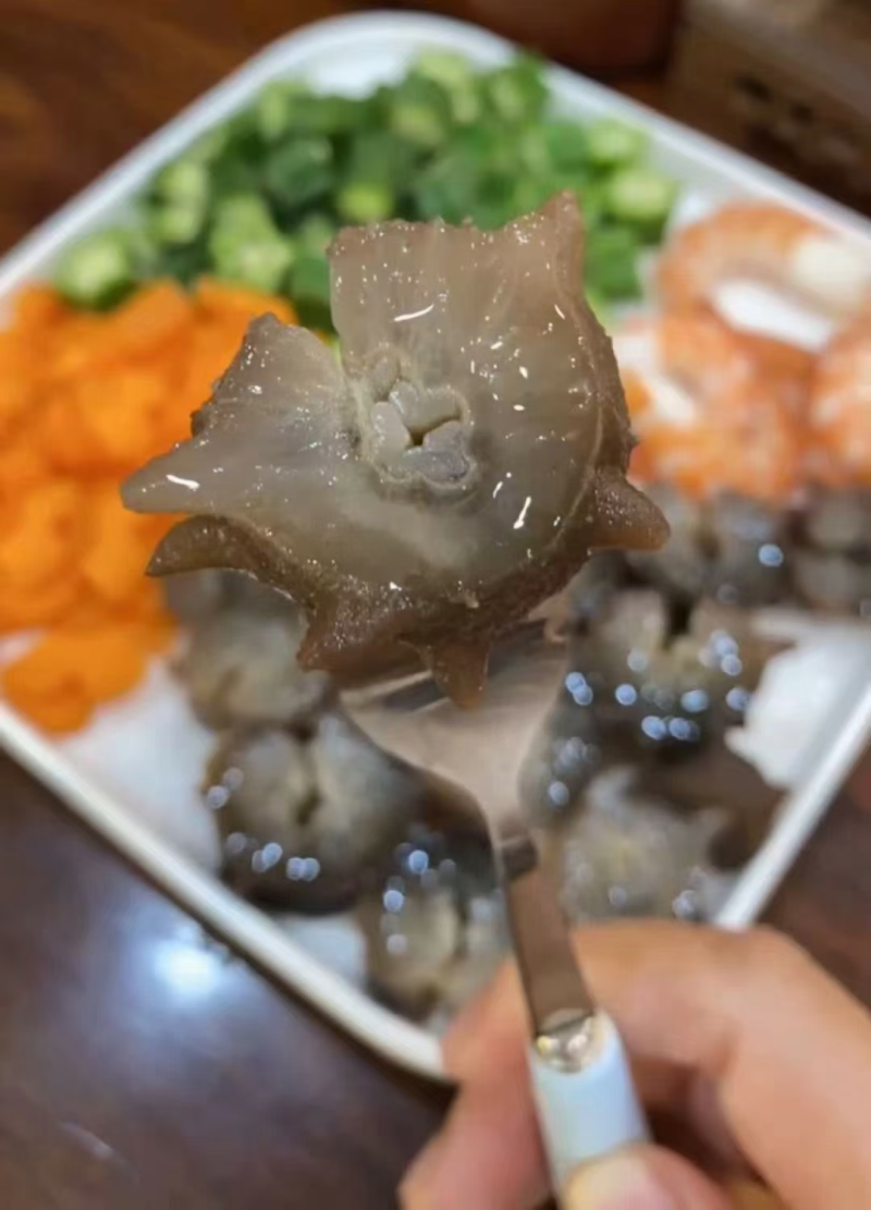 大连辽参即食5-15个头**高品质批发价