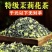【茉莉飘雪口粮茶】茉莉花茶飘雪家用口粮茶500克