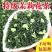 【茉莉飘雪口粮茶】茉莉花茶飘雪家用口粮茶500克
