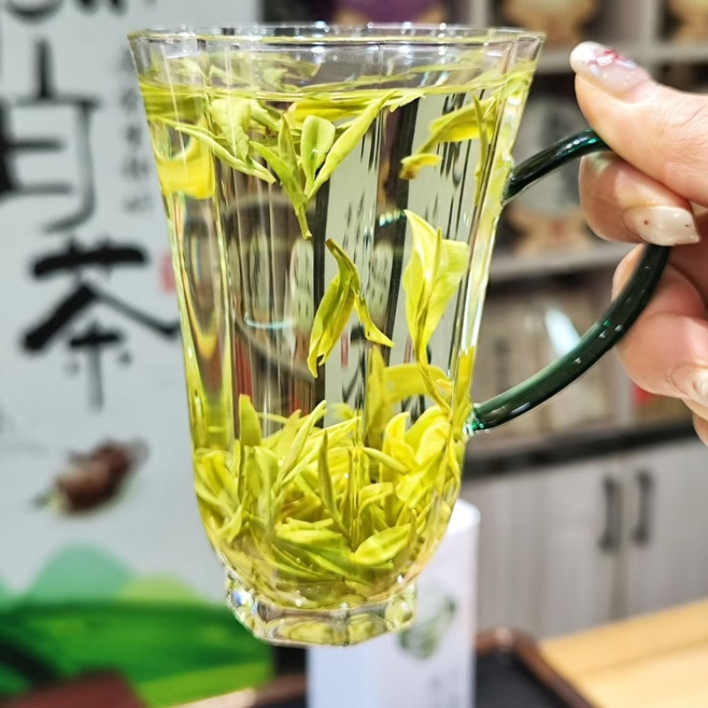 【浙江绿茶白茶口粮茶】绿茶白茶口粮茶500克