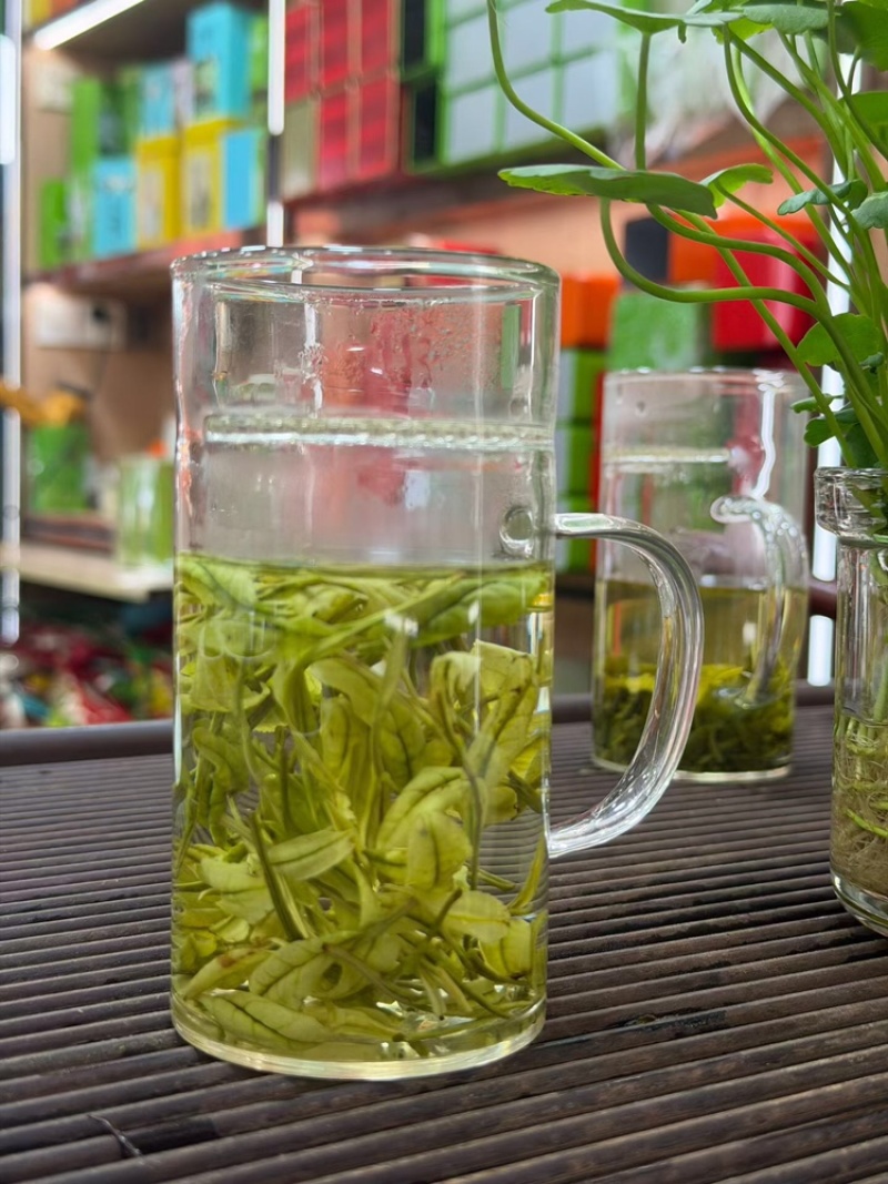 【浙江绿茶白茶口粮茶】绿茶白茶口粮茶500克
