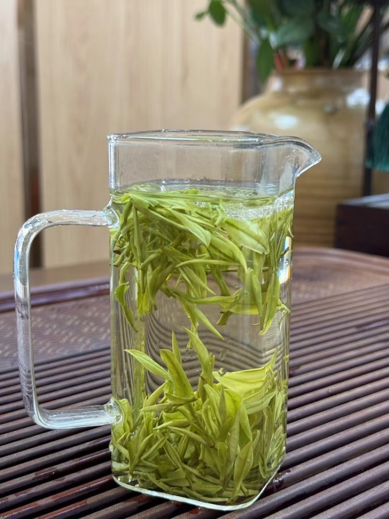 【浙江绿茶白茶口粮茶】绿茶白茶口粮茶500克