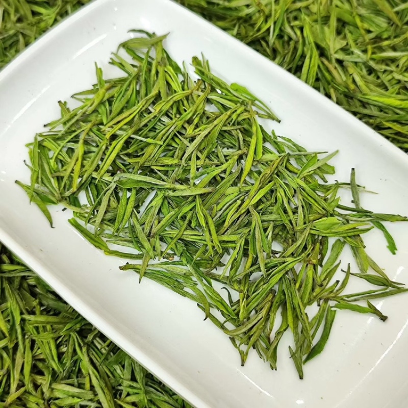 【浙江绿茶白茶口粮茶】绿茶白茶口粮茶500克