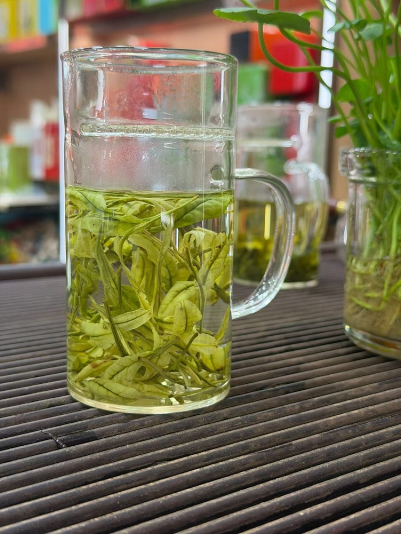 【浙江绿茶白茶口粮茶】绿茶白茶口粮茶500克