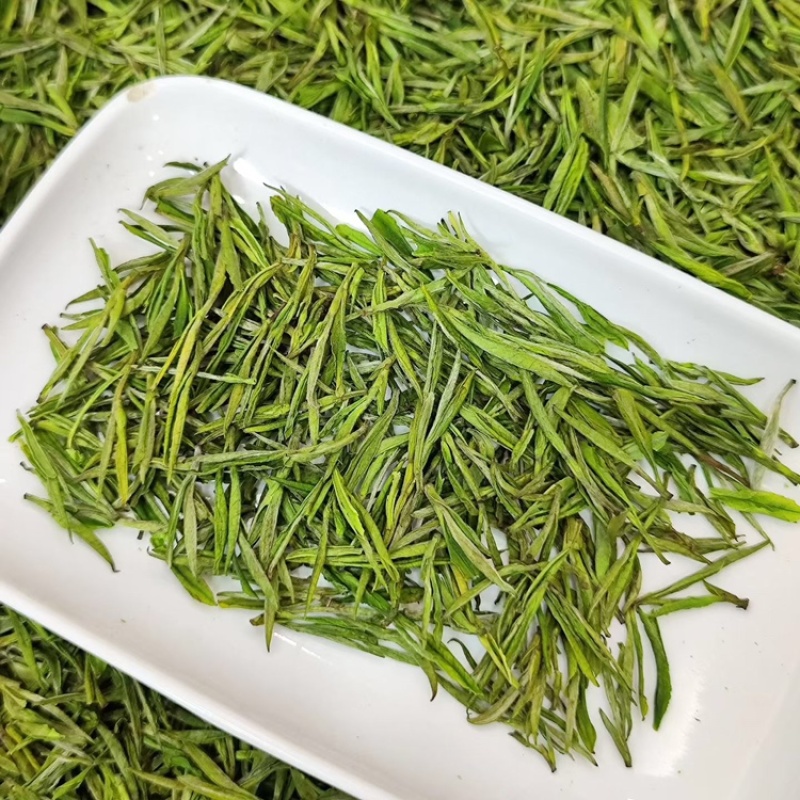 【浙江绿茶白茶口粮茶】绿茶白茶口粮茶500克