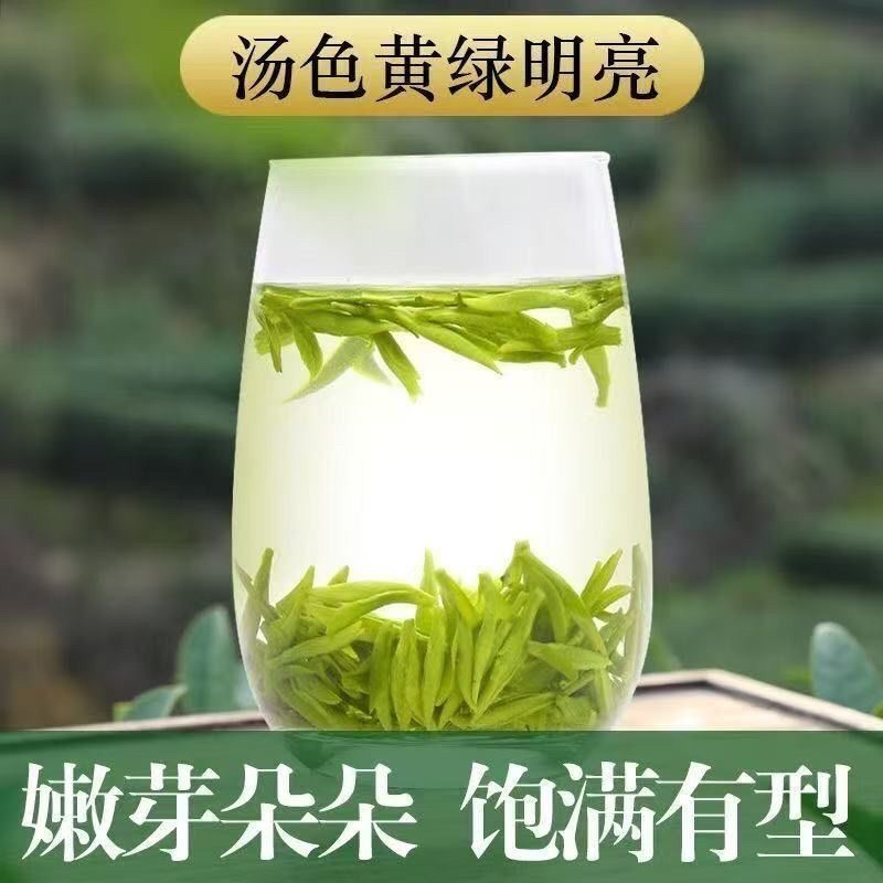 【龙井绿茶口粮茶】浙江绿茶龙井茶豆香味十足包邮
