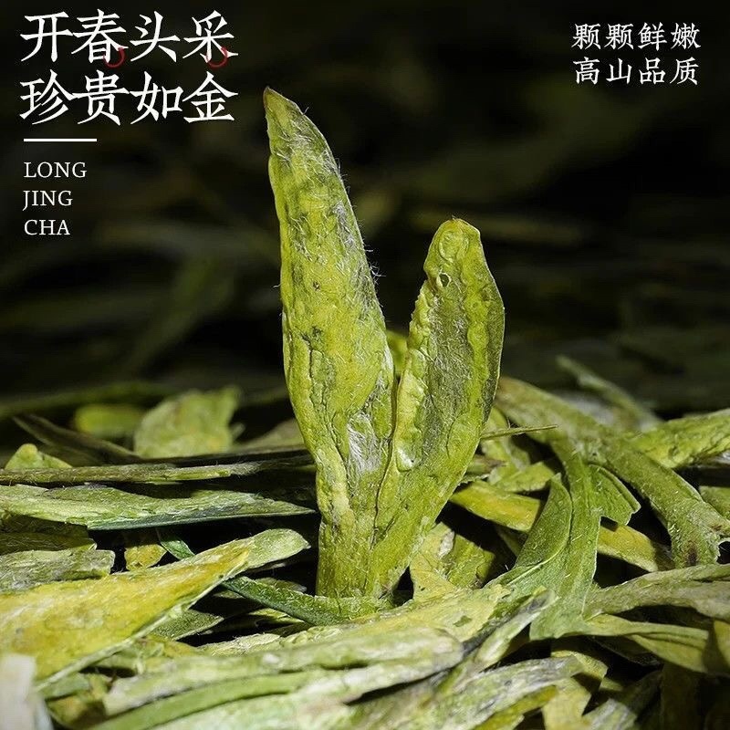 【龙井绿茶口粮茶】浙江绿茶龙井茶豆香味十足包邮