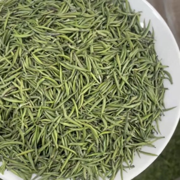 【绿茶雀舌】绿茶雀舌口粮茶口感甘甜清香爽口
