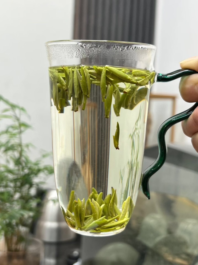 【绿茶雀舌】绿茶雀舌口粮茶口感甘甜清香爽口