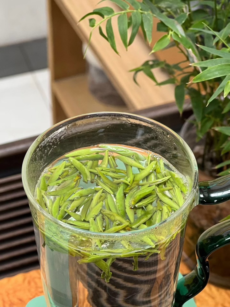 【绿茶雀舌】绿茶雀舌口粮茶口感甘甜清香爽口